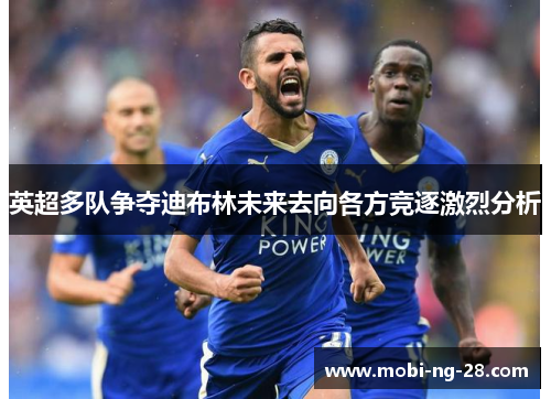 英超多队争夺迪布林未来去向各方竞逐激烈分析