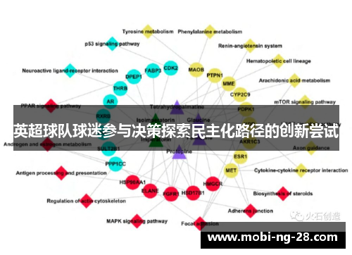 英超球队球迷参与决策探索民主化路径的创新尝试