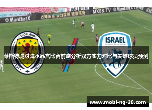 莱斯特城对阵水晶宫比赛前瞻分析双方实力对比与关键球员预测 莱斯特城对阵水晶宫比赛前瞻分析双方实力对比与关键球员预测