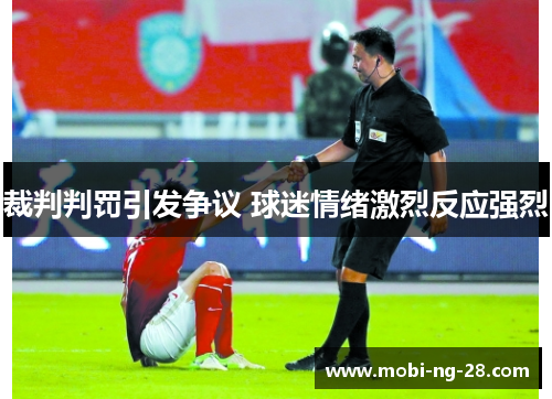 裁判判罚引发争议 球迷情绪激烈反应强烈