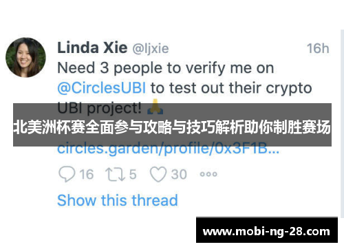 北美洲杯赛全面参与攻略与技巧解析助你制胜赛场