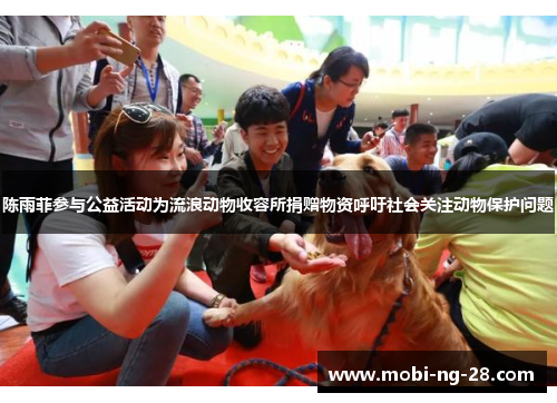 陈雨菲参与公益活动为流浪动物收容所捐赠物资呼吁社会关注动物保护问题 陈雨菲参与公益活动为流浪动物收容所捐赠物资呼吁社会关注动物保护问题