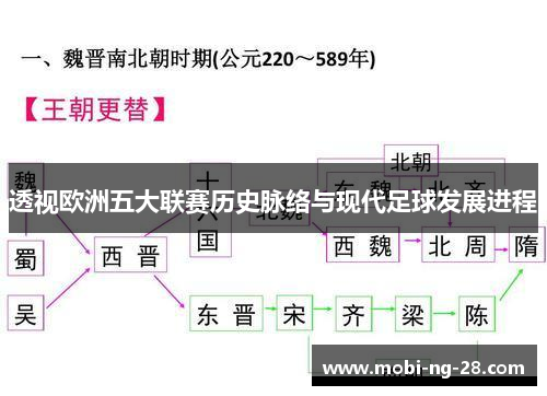 透视欧洲五大联赛历史脉络与现代足球发展进程