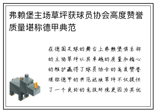 弗赖堡主场草坪获球员协会高度赞誉质量堪称德甲典范